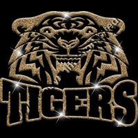 GLT32 GOLD GLITTER Thumbnail